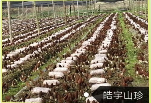 &#19990;&#30028;&#26479;&#24179;&#21488;&#45;&#19990;&#30028;&#26479;&#40;&#20013;&#22269;&#41;&#19968;&#31449;&#24335;&#26381;&#21153;&#24179;&#21488;