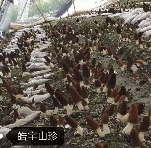 &#19990;&#30028;&#26479;&#24179;&#21488;&#45;&#19990;&#30028;&#26479;&#40;&#20013;&#22269;&#41;&#19968;&#31449;&#24335;&#26381;&#21153;&#24179;&#21488;