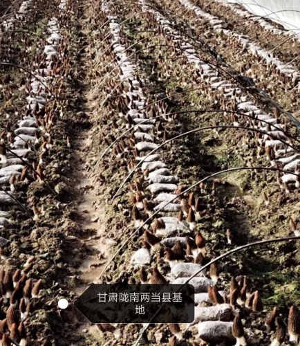&#19990;&#30028;&#26479;&#24179;&#21488;&#45;&#19990;&#30028;&#26479;&#40;&#20013;&#22269;&#41;&#19968;&#31449;&#24335;&#26381;&#21153;&#24179;&#21488;