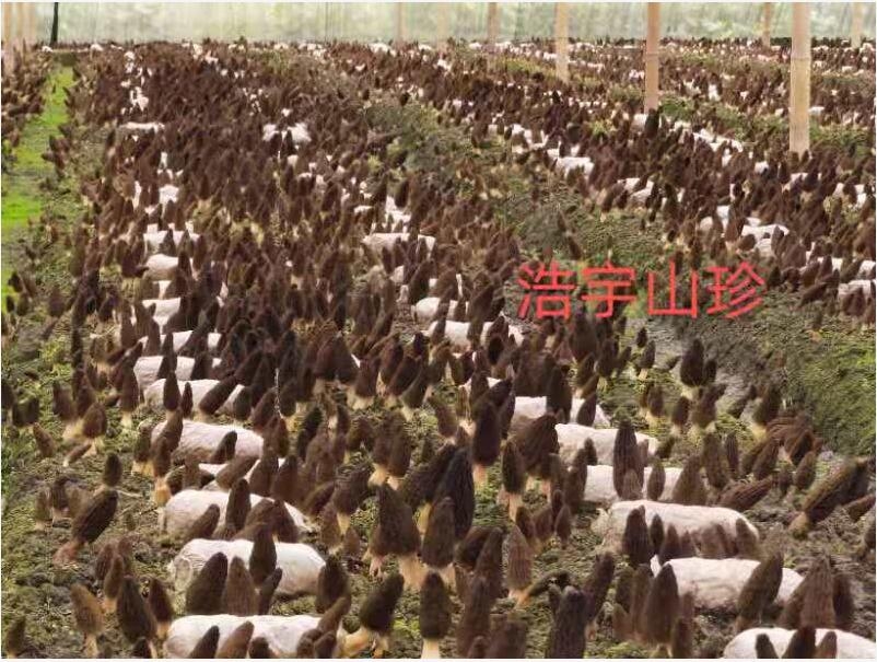 &#19990;&#30028;&#26479;&#24179;&#21488;&#45;&#19990;&#30028;&#26479;&#40;&#20013;&#22269;&#41;&#19968;&#31449;&#24335;&#26381;&#21153;&#24179;&#21488;