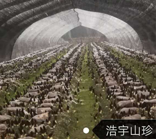 &#19990;&#30028;&#26479;&#24179;&#21488;&#45;&#19990;&#30028;&#26479;&#40;&#20013;&#22269;&#41;&#19968;&#31449;&#24335;&#26381;&#21153;&#24179;&#21488;