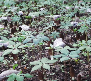 &#19990;&#30028;&#26479;&#24179;&#21488;&#45;&#19990;&#30028;&#26479;&#40;&#20013;&#22269;&#41;&#19968;&#31449;&#24335;&#26381;&#21153;&#24179;&#21488;