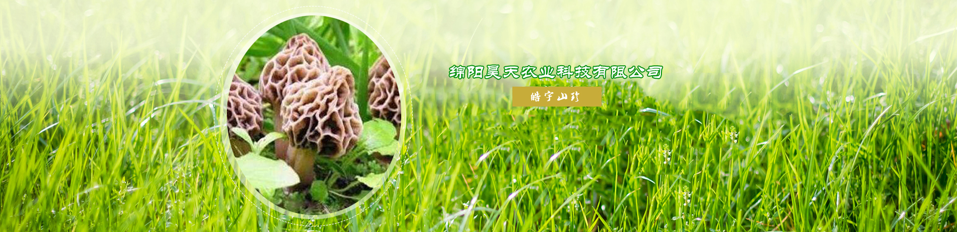 &#19990;&#30028;&#26479;&#24179;&#21488;&#45;&#19990;&#30028;&#26479;&#40;&#20013;&#22269;&#41;&#19968;&#31449;&#24335;&#26381;&#21153;&#24179;&#21488;