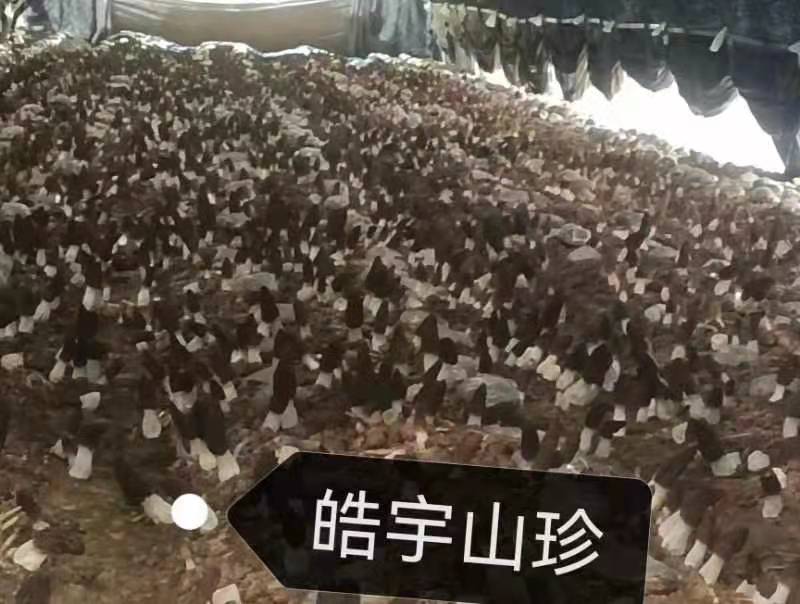 &#19990;&#30028;&#26479;&#24179;&#21488;&#45;&#19990;&#30028;&#26479;&#40;&#20013;&#22269;&#41;&#19968;&#31449;&#24335;&#26381;&#21153;&#24179;&#21488;