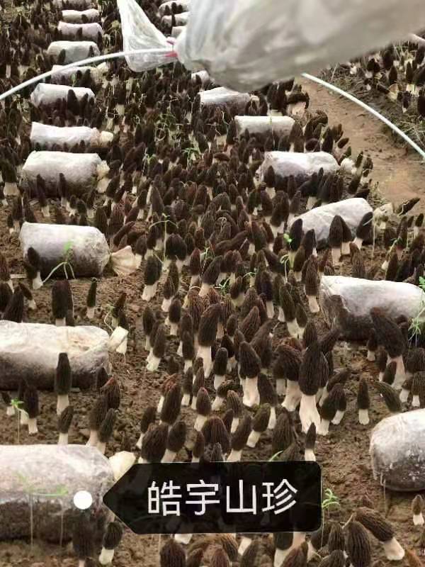 &#19990;&#30028;&#26479;&#24179;&#21488;&#45;&#19990;&#30028;&#26479;&#40;&#20013;&#22269;&#41;&#19968;&#31449;&#24335;&#26381;&#21153;&#24179;&#21488;